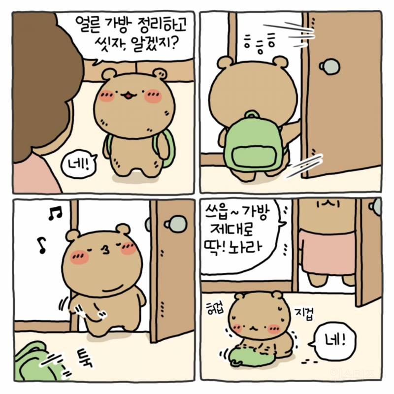 와다다곰 인스타 | 인스티즈