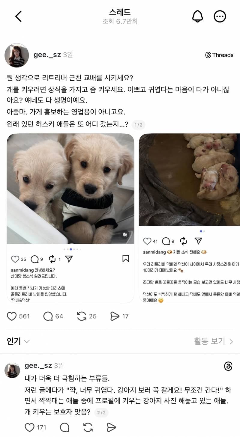 [잡담] 리트리버 근친 교배로 의심되는 칼국수집 홍보글 | 인스티즈