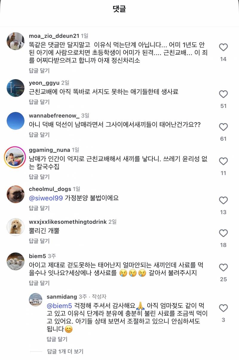 [잡담] 리트리버 근친 교배로 의심되는 칼국수집 홍보글 | 인스티즈