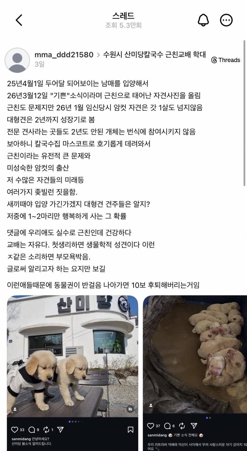 [잡담] 리트리버 근친 교배로 의심되는 칼국수집 홍보글 | 인스티즈