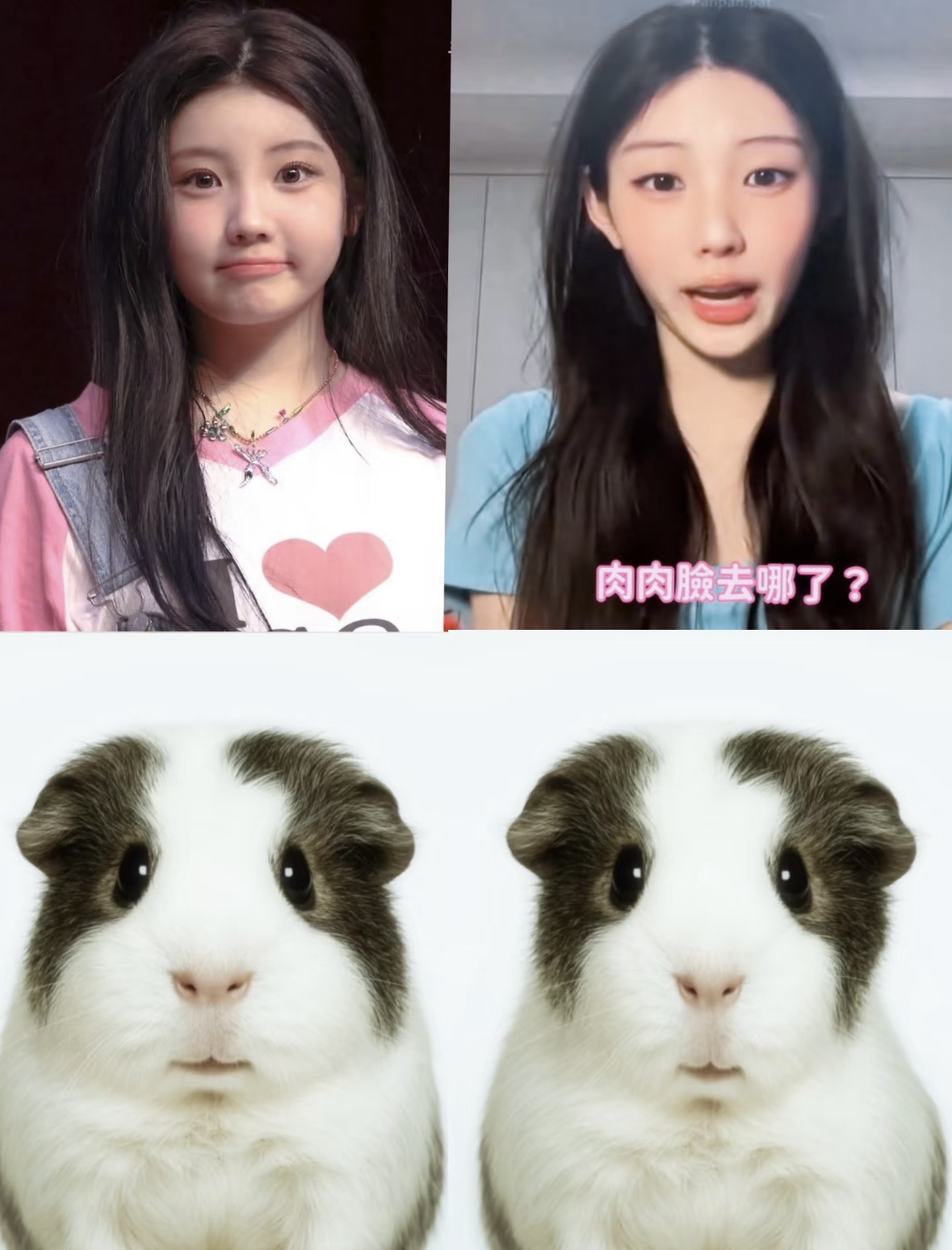 [잡담] 샤오홍슈에서 원희기니 봄 | 인스티즈