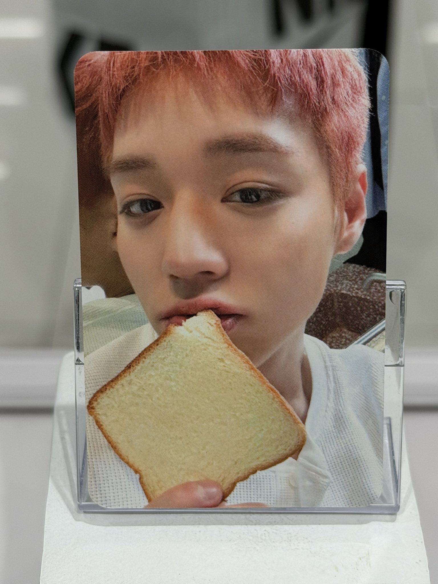 [잡담] 박지훈 식빵포카 존예 | 인스티즈