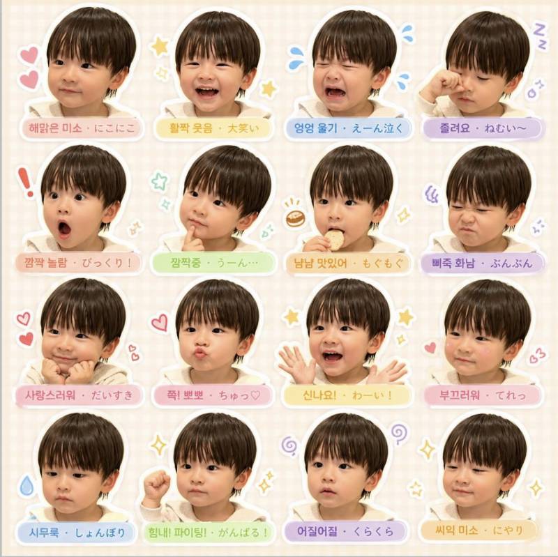 [잡담] 귀여운 사쿠 보고갈래? | 인스티즈