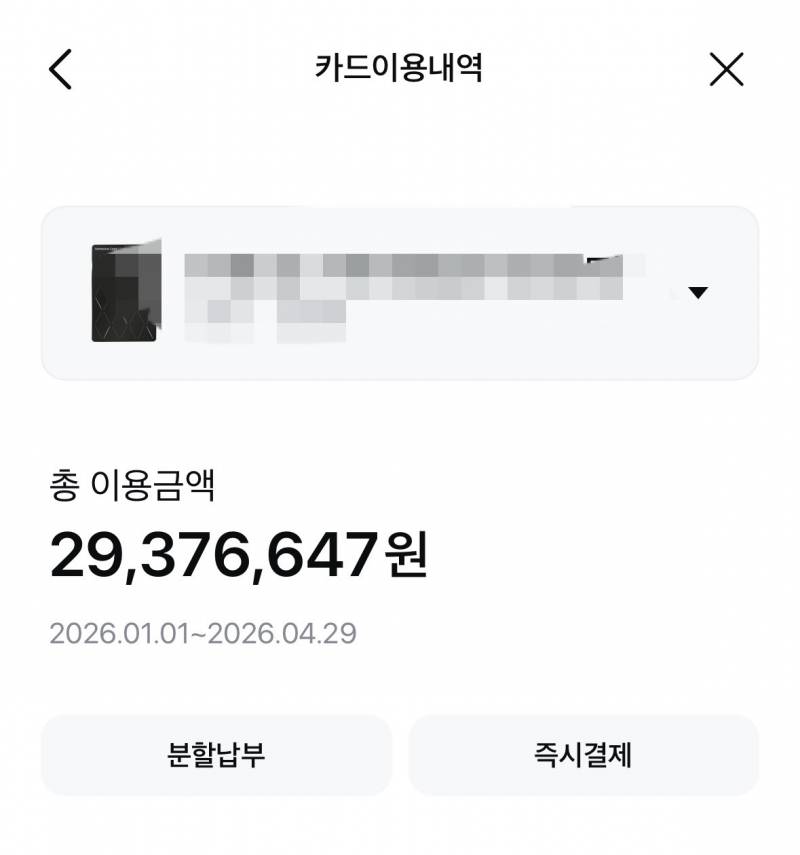 [잡담] 올해 나보다 카드많이 쓴 사람 없을 듯 | 인스티즈