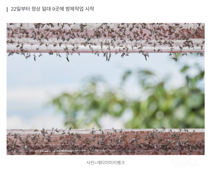 온다 러브버그.jpg | 인스티즈
