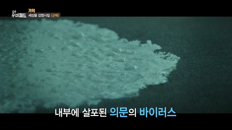 좀비 아포칼립스 세계에 떨어진다면? | 인스티즈