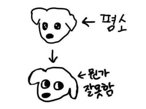 [잡담] 아이유) 뭔가 잘못한 강아디 | 인스티즈