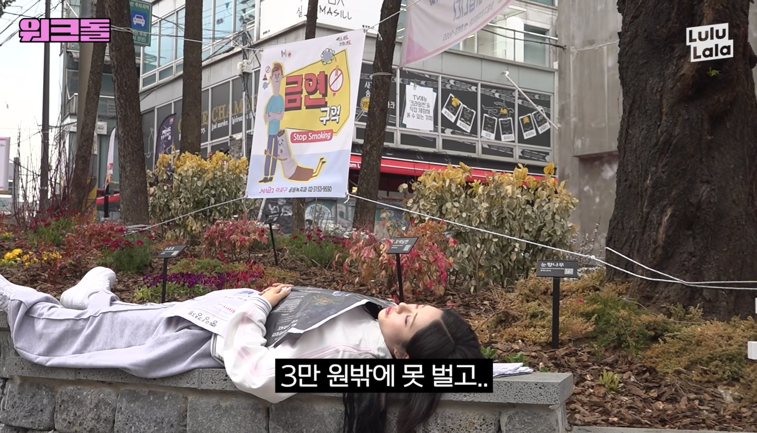 [잡담] 아 진짜 워크돌 박지원 너무 웃김 ㅋㅋㅋ이런 아이돌은 처음본다 ㅋㅋ | 인스티즈