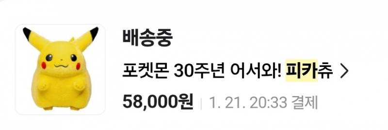 [잡담] 와씨 3달 기다린 뚱땡이 피카츄 드디어드디어 도착했다ㅠㅠㅠ | 인스티즈