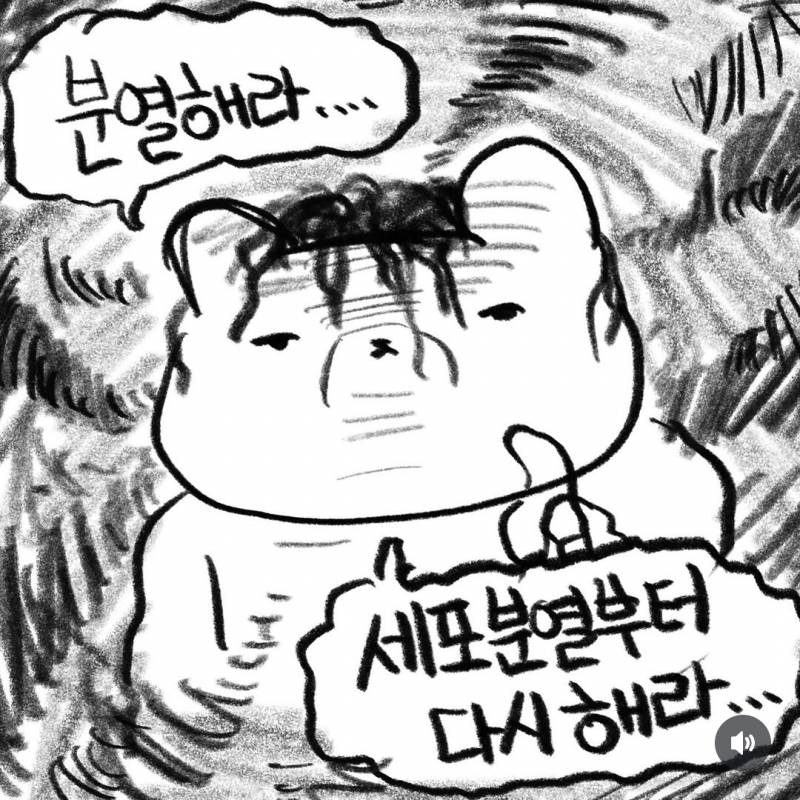 [잡담] 마치 어제 내 모습같은 진돌 인스타 | 인스티즈