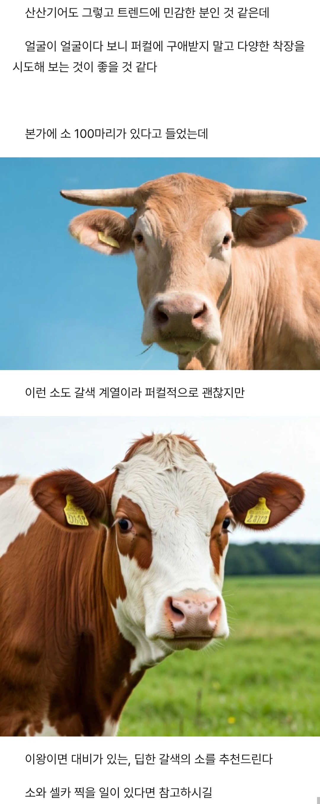 [잡담] 가끔 퍼스널컬러 분석 포타 보는데 이분 개재밋음ㅋㅋㅋㅋㅋㅋㅋㅋㅋ | 인스티즈