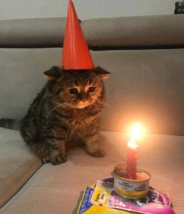 [잡담] ‼️오늘 생일인 익 등장‼️ | 인스티즈