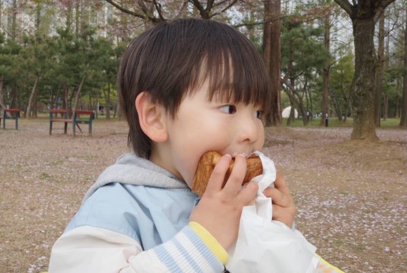 [잡담] 난 힘들 때 사쿠를 봐 | 인스티즈