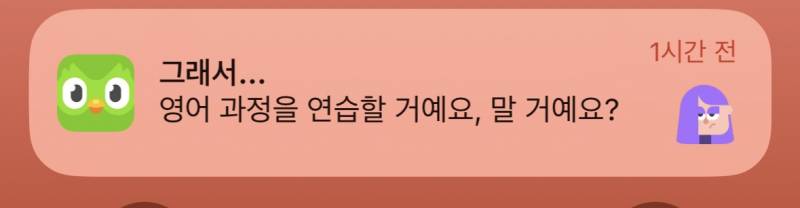 [잡담] 듀오링고 왜케 싸가지가 없누 | 인스티즈