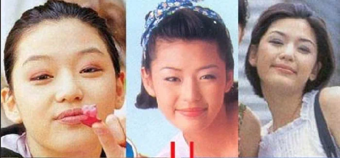 [마플] 초록글 같은 말이 나오는 이유가 국내 연예계때문에 중국여자들이 공주병에 걸려서인듯 | 인스티즈