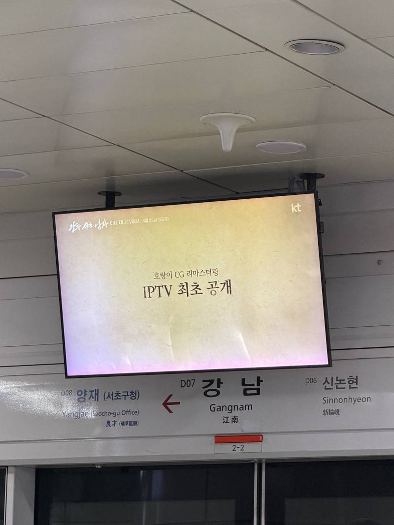 왕사남 밤티호랑이 성형완료 애프터.....JPG🐯 | 인스티즈