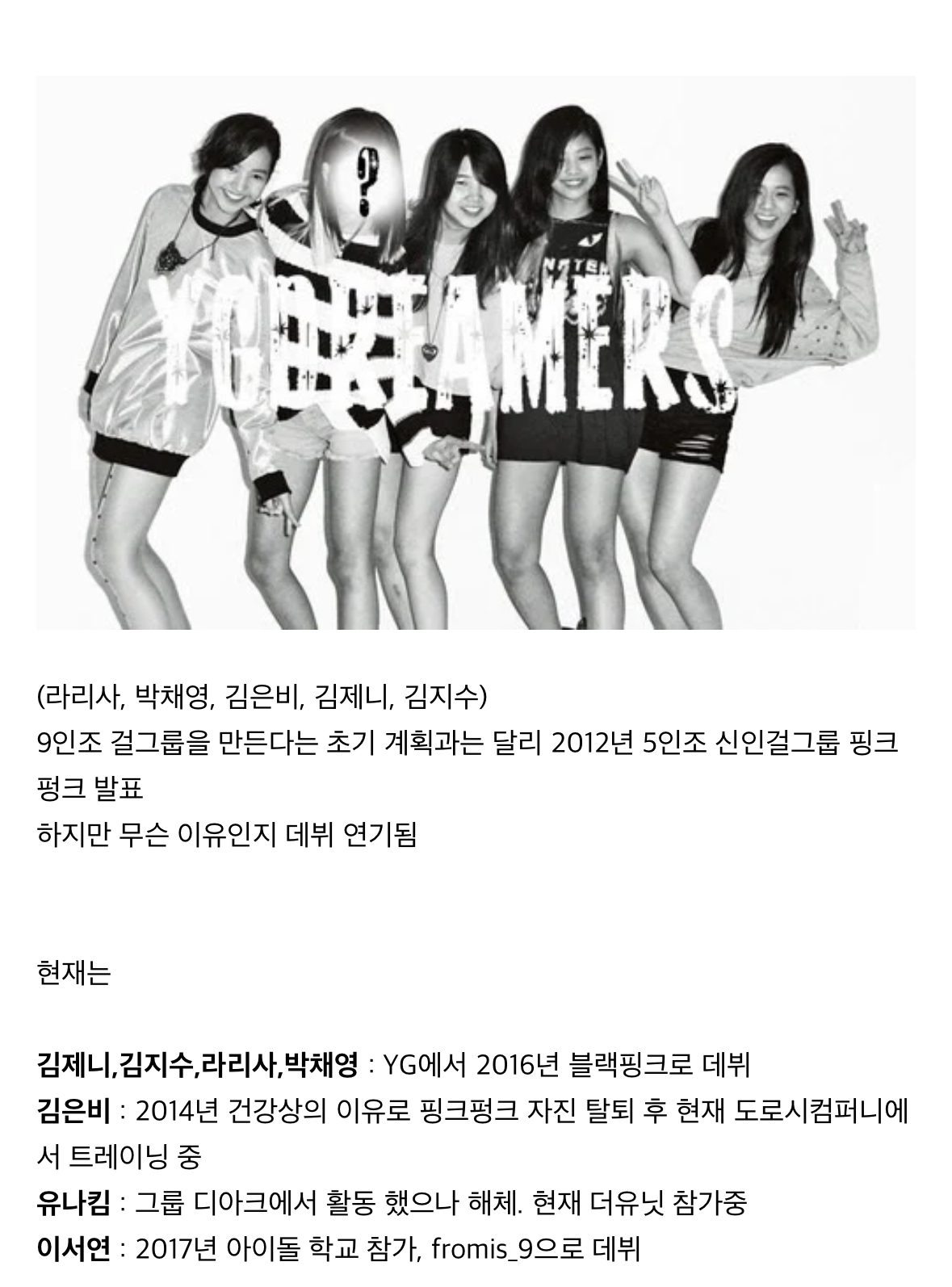 [잡담] 그때그시절 블랙핑크의 핑크펑크 시절 | 인스티즈