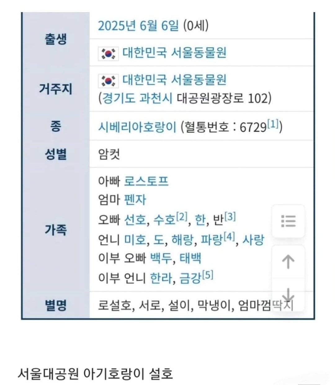 [정보/소식] 맹수이긴 한데 맹수 같지 않다는 서울대공원의 귀요미 호랑이 | 인스티즈