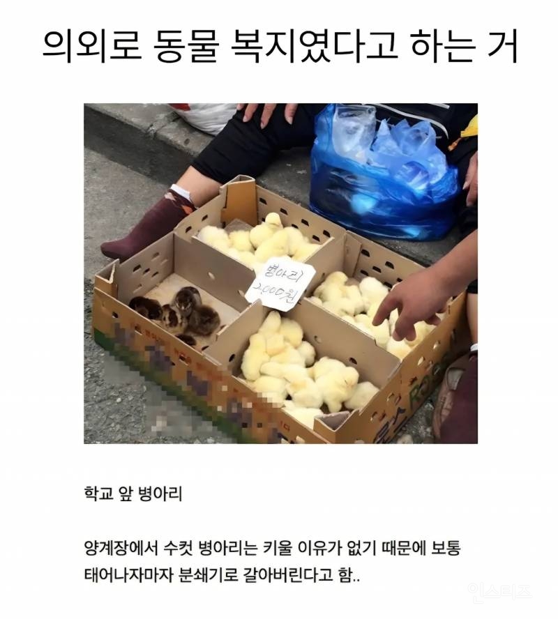 의외로 동물복지 였다고 하는 거.jpg | 인스티즈