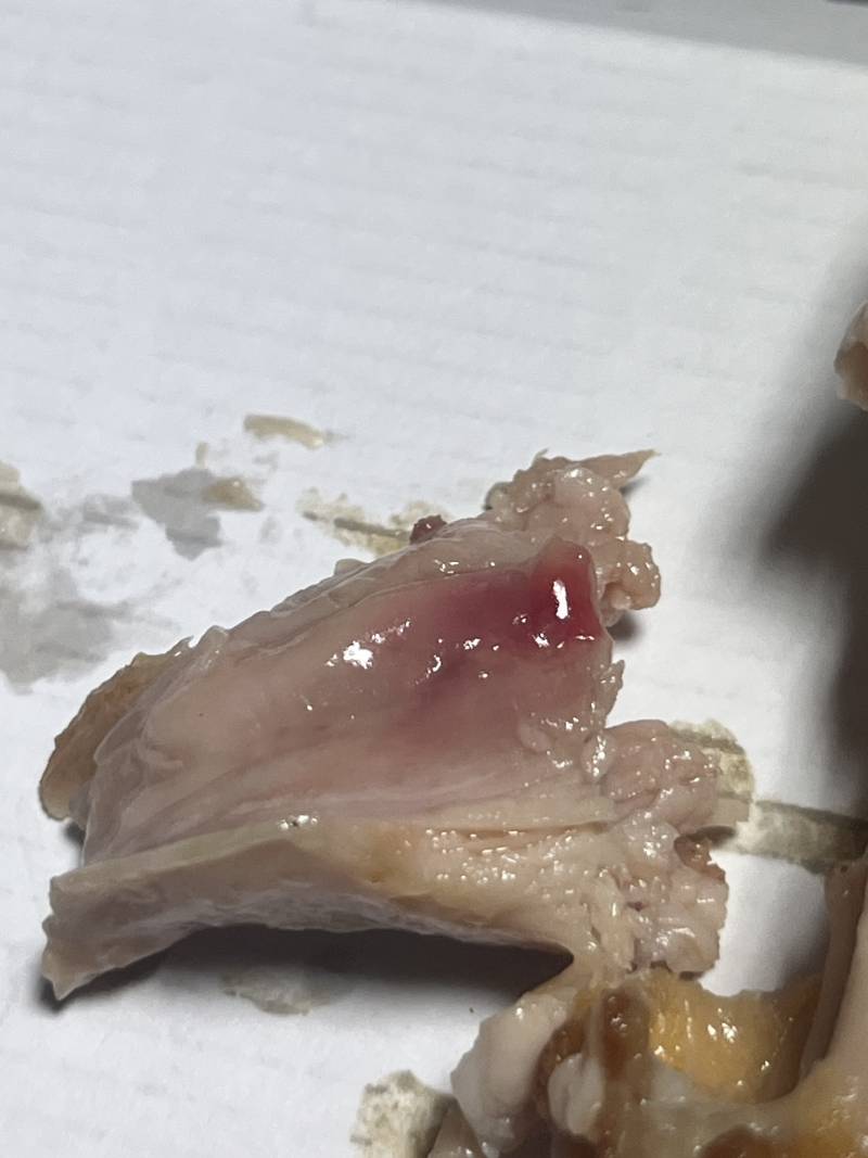 [잡담] 치킨 먹는데 이거 안익은건가..? | 인스티즈