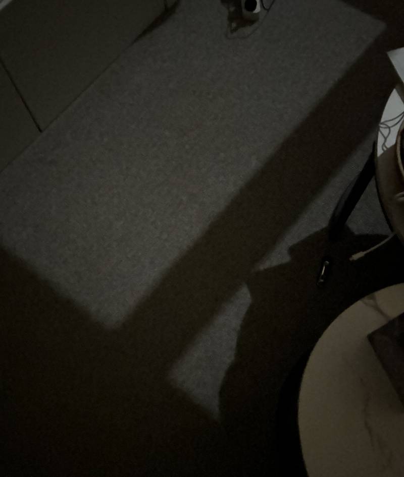 [잡담] 달빛을 이렇게 직접적으로 본게 처음인거같아 | 인스티즈