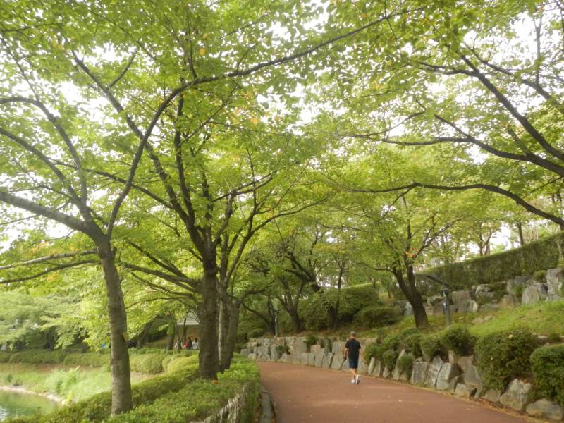 [잡담] 와 얘들아 1.5년 동안 살려고 찾던 카메라 드디어 샀다… | 인스티즈