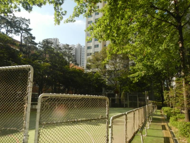 [잡담] 와 얘들아 1.5년 동안 살려고 찾던 카메라 드디어 샀다… | 인스티즈