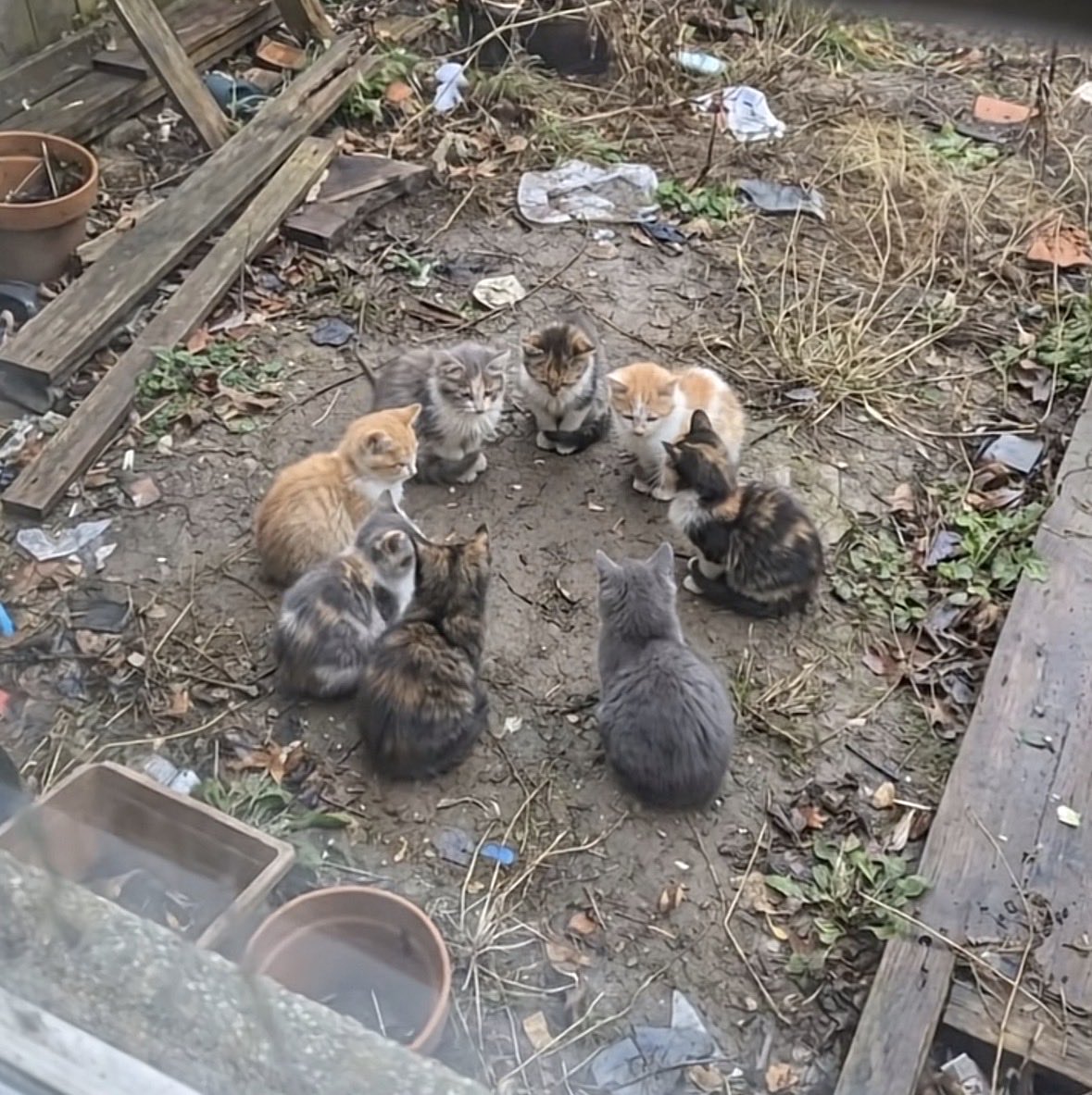 [잡담] 얘들아 잠깐만 모여봐 | 인스티즈
