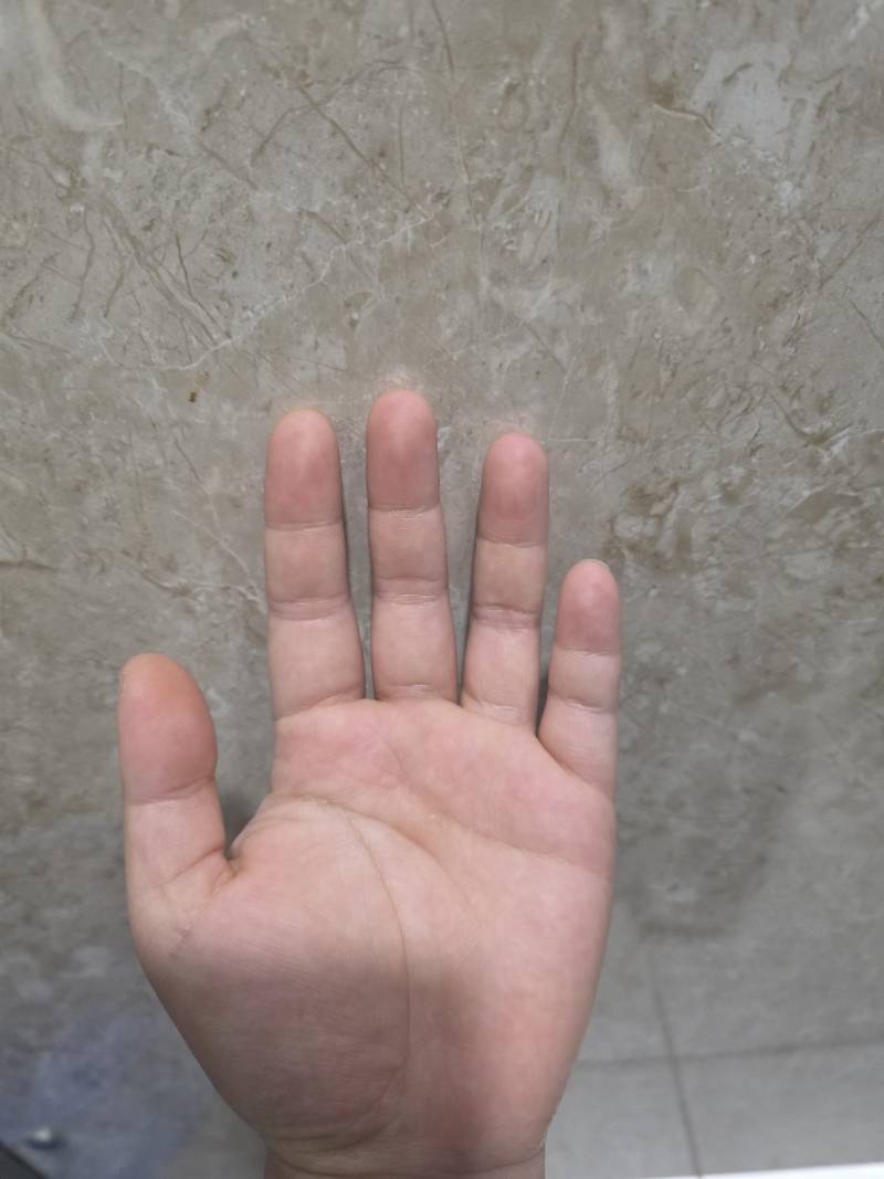 [잡담] 내손 뚱뚱하지 | 인스티즈