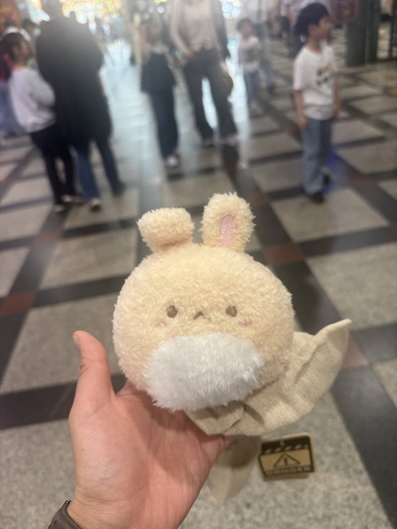 [잡담] 오늘롯데월드갔다가 나가보지도못하고 집에옴 | 인스티즈