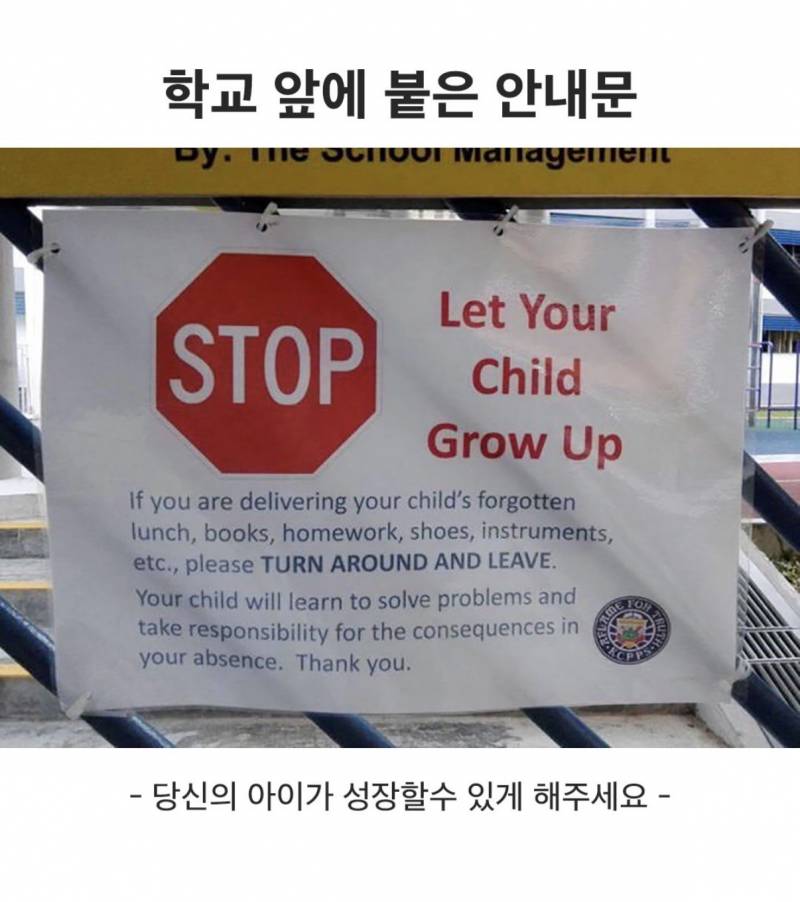 [잡담] 이거 우리나라 초등학교에도 있었으면 좋겠다 | 인스티즈