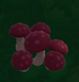[잡담] 버섯버섯~🍄 | 인스티즈