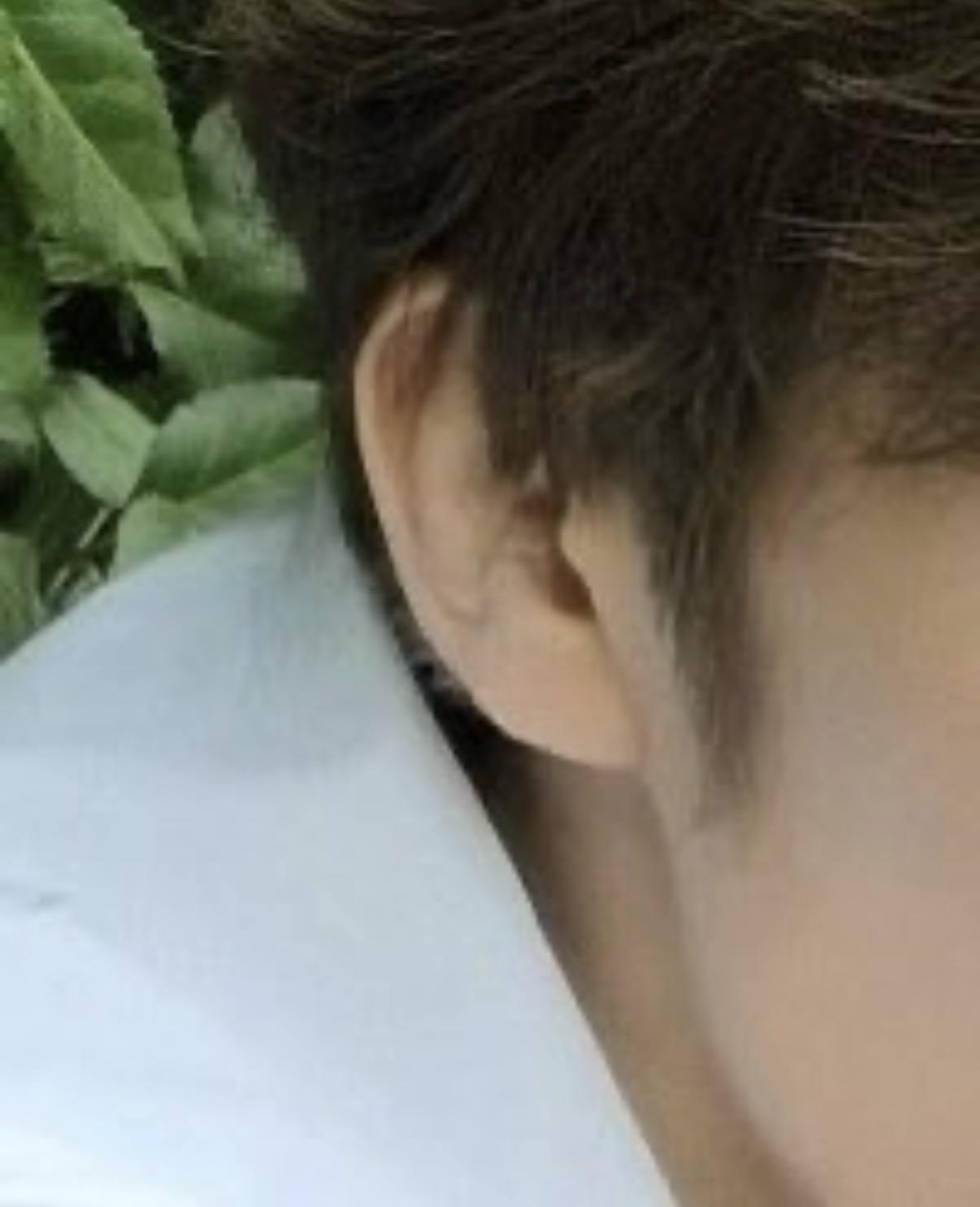 [잡담] 이만큼 솜털 많은 아이 | 인스티즈