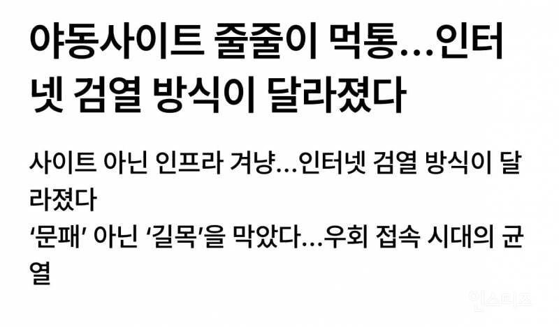 야동사이트 줄줄이 먹통…인터넷 검열 방식이 달라졌다 | 인스티즈