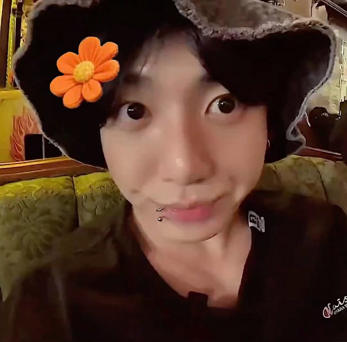 [잡담] 정국인 토끼다 vs 강쥐다 | 인스티즈