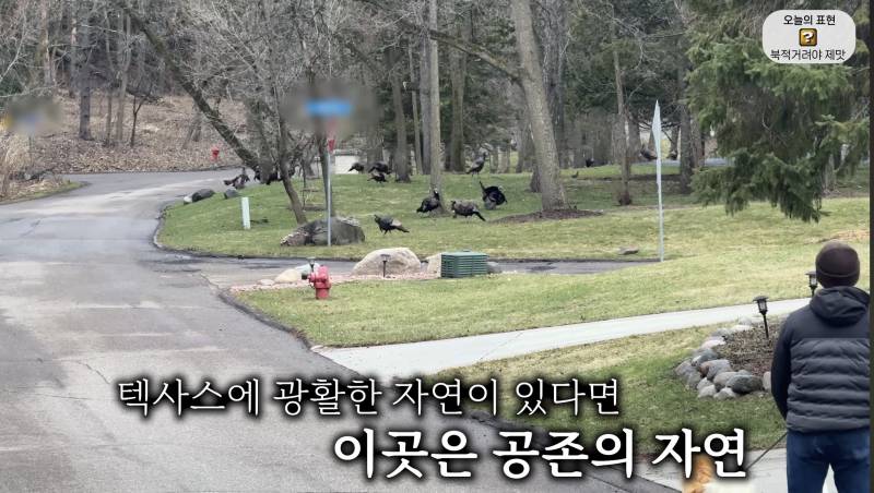 [잡담] 올리버쌤 영상보는데 미국 못살겠다 | 인스티즈