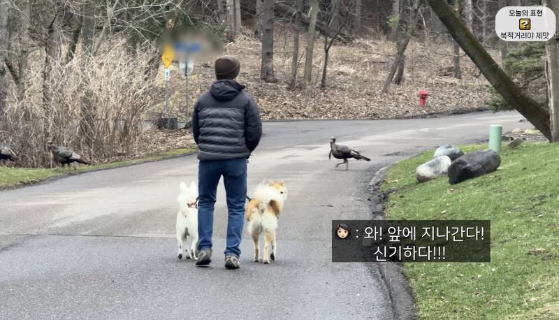 [잡담] 올리버쌤 영상보는데 미국 못살겠다 | 인스티즈