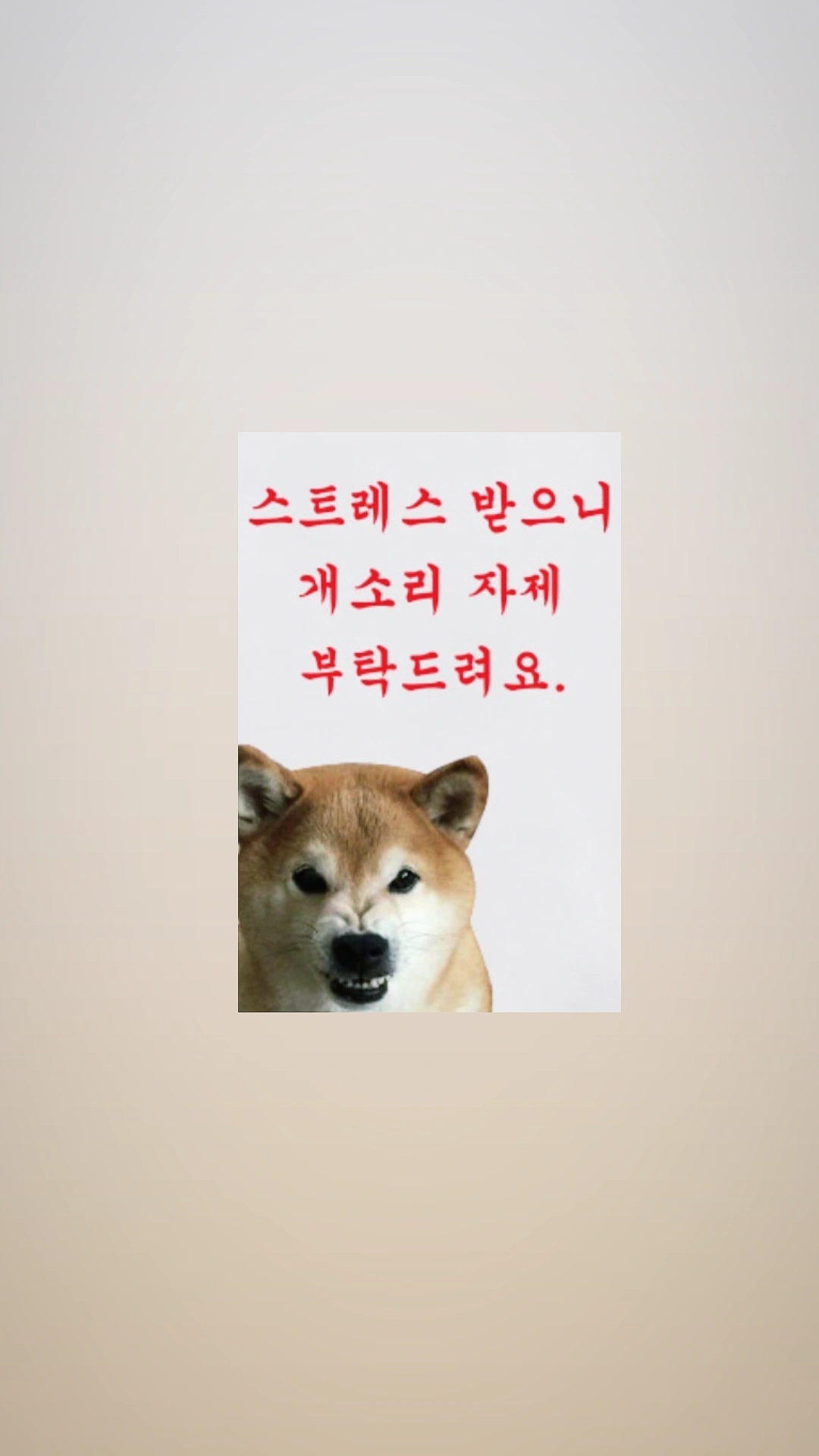 [마플] 아니 근데 하이브 SM돌 정병들아;;; | 인스티즈