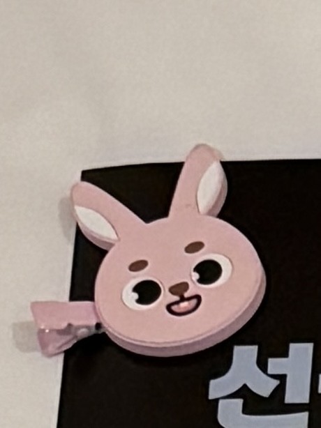 [잡담] 요코하마 필 헤어핀 찾아...😭 | 인스티즈