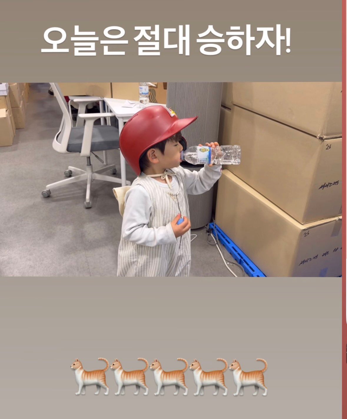 [잡담] 사쿠 어제 문학 왔대요 🐶💖 | 인스티즈