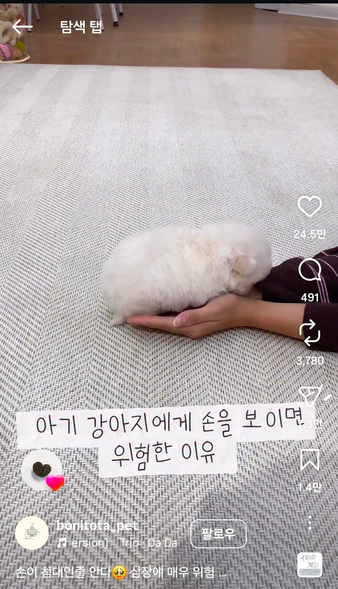 [잡담] 릴스 내리다 손종원 좋아요 자만추 함 | 인스티즈