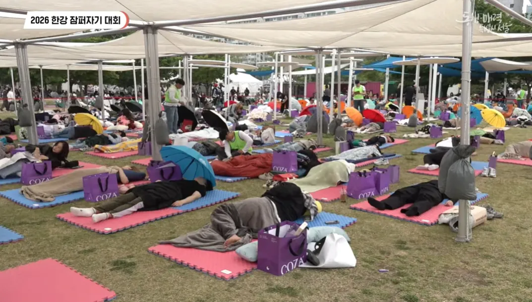 [정보/소식] 2026 한강 잠퍼자기 대회 진행중 | 인스티즈