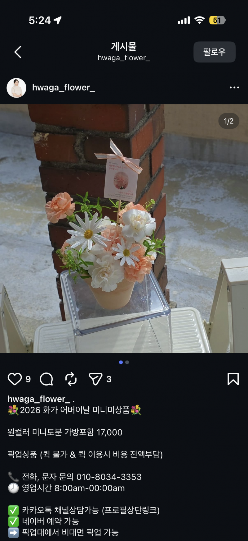[잡담] 카네이션 골라줘 | 인스티즈