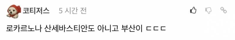 현재 𝙅𝙊𝙉𝙉𝘼 미친수준이라는 부국제 위상..JPG | 인스티즈