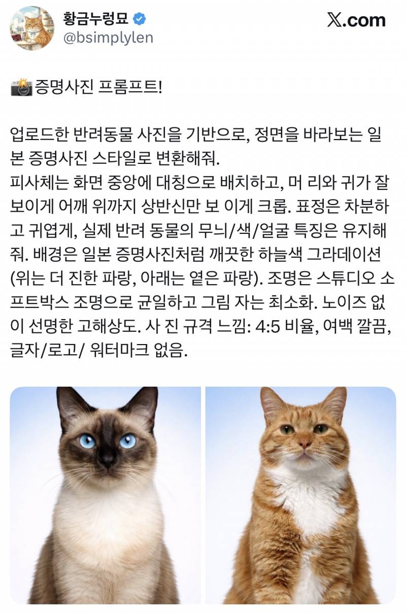 반려동물 증명사진 프롬프트! | 인스티즈