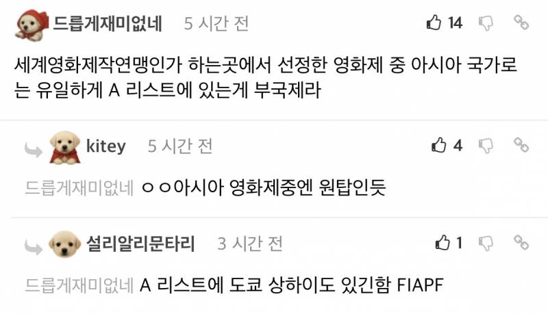 현재 𝙅𝙊𝙉𝙉𝘼 미친수준이라는 부국제 위상..JPG | 인스티즈