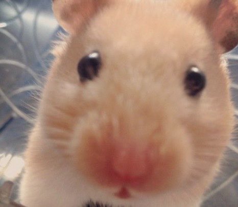 [잡담] 리쿠 바보 | 인스티즈