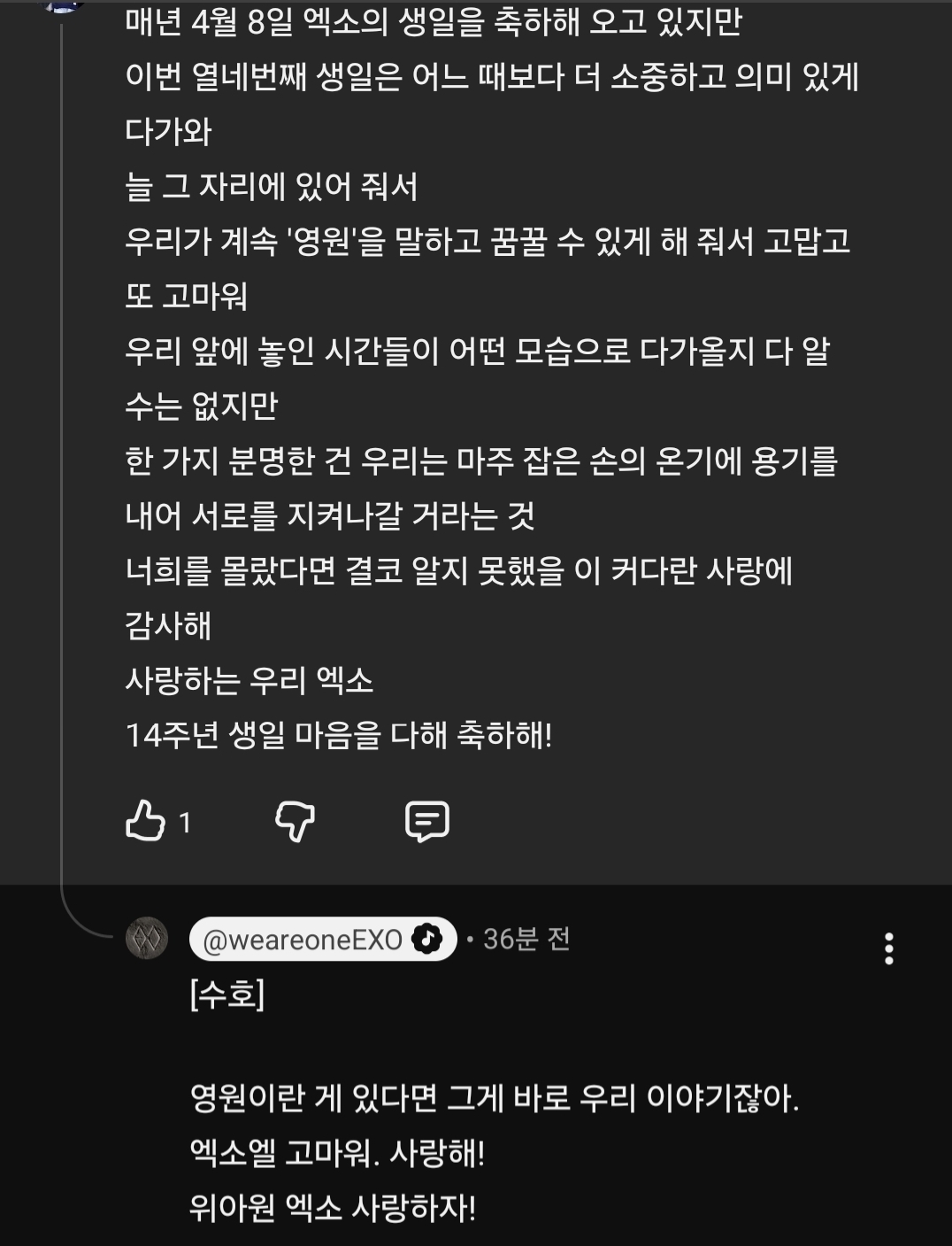 [잡담] 오늘자 유튜브 팬댓글에 답글 남기고 간 엑소 | 인스티즈