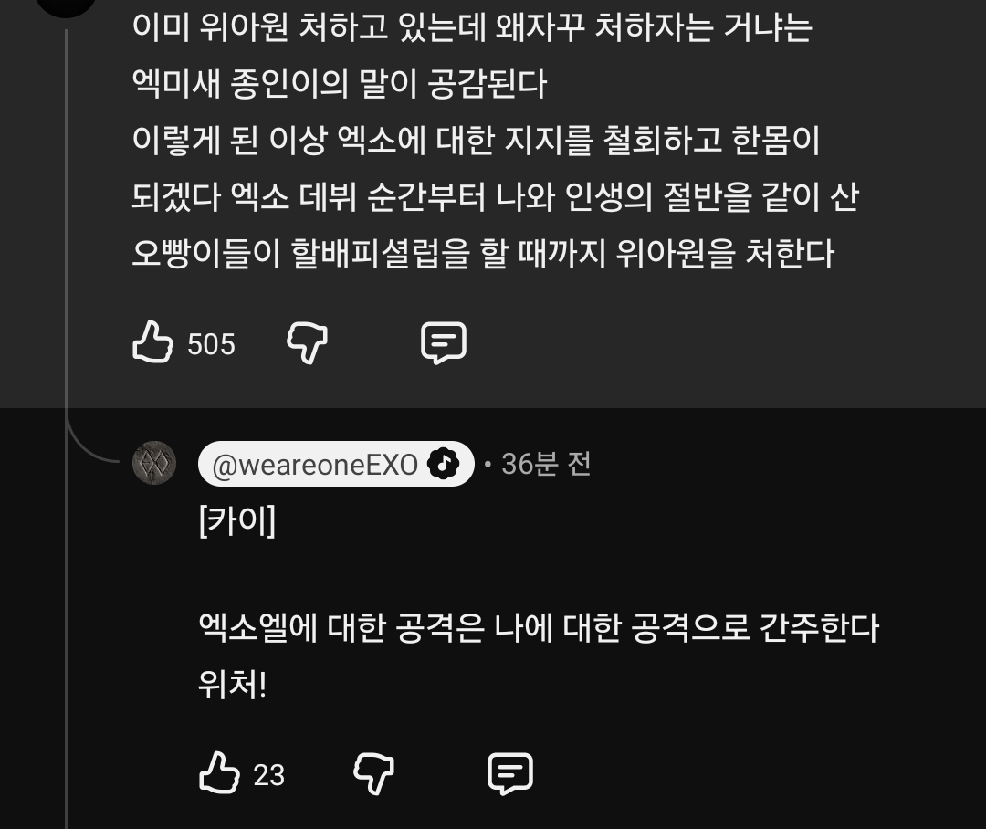 [잡담] 오늘자 유튜브 팬댓글에 답글 남기고 간 엑소 | 인스티즈
