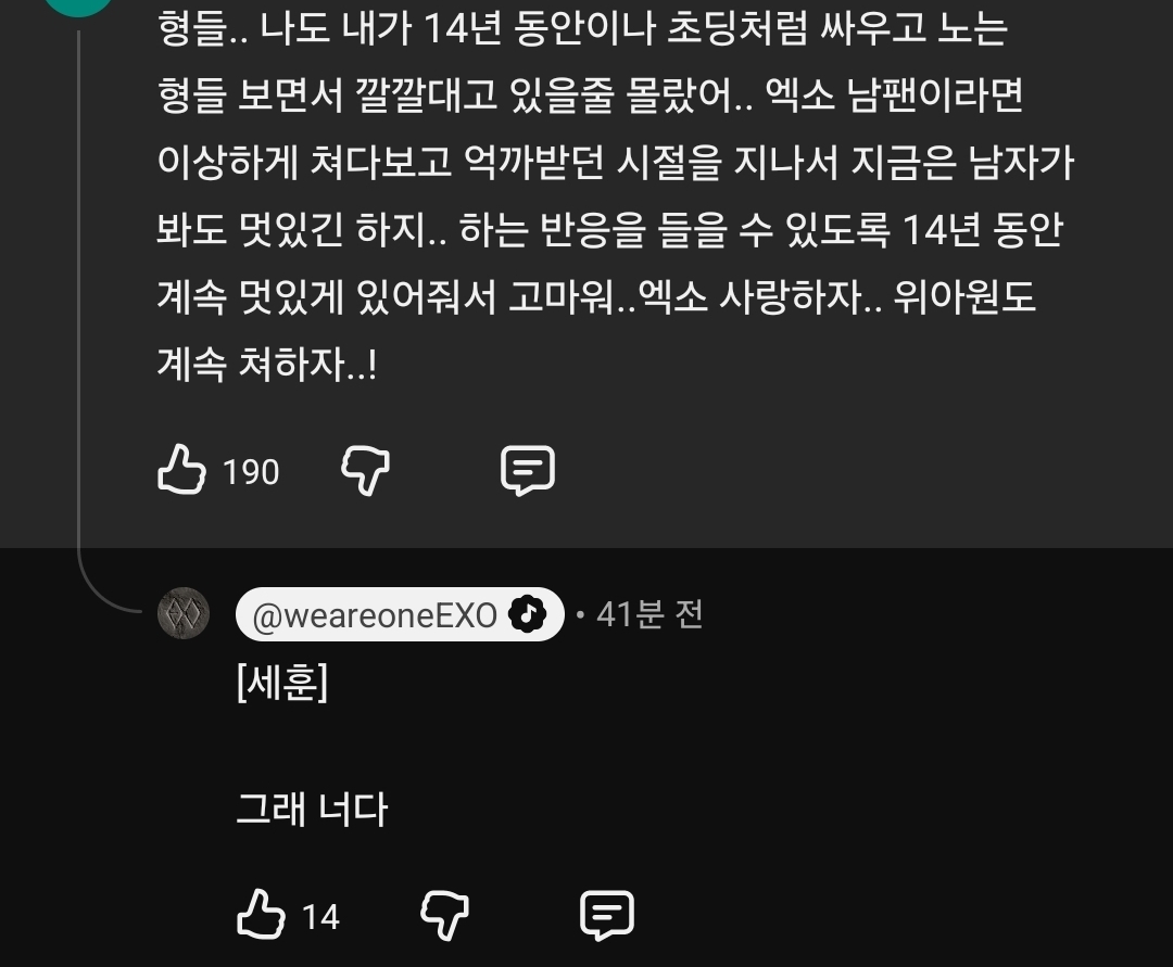 [잡담] 오늘자 유튜브 팬댓글에 답글 남기고 간 엑소 | 인스티즈